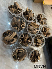 Agarwood Pieces Create a Cozy Space in The House